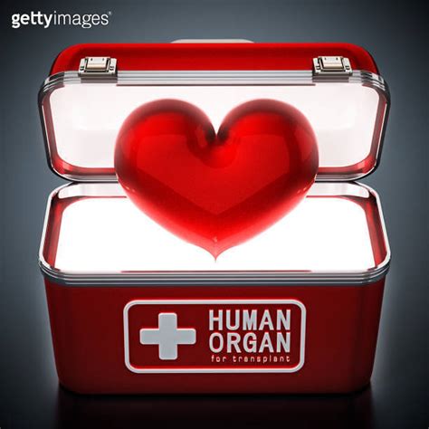 human organ transplant metal storage box|heart in a box technology.